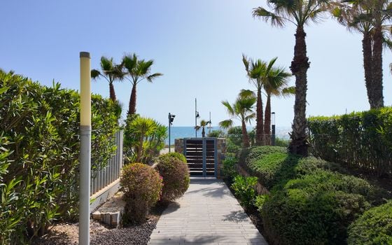 2 bedroom Apartment in Torrevieja - ET134545 - Photo - Small - 46