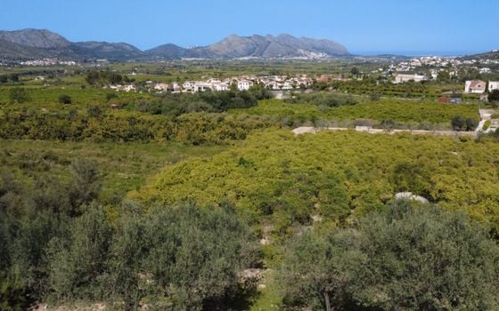 Pozemek   v Orba, - PGP134583 - Foto - 5