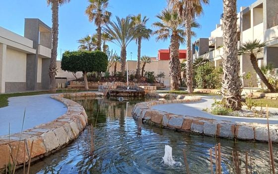 2 bedroom Penthouse in Torrevieja - SV134591 - Photo - Small - 27