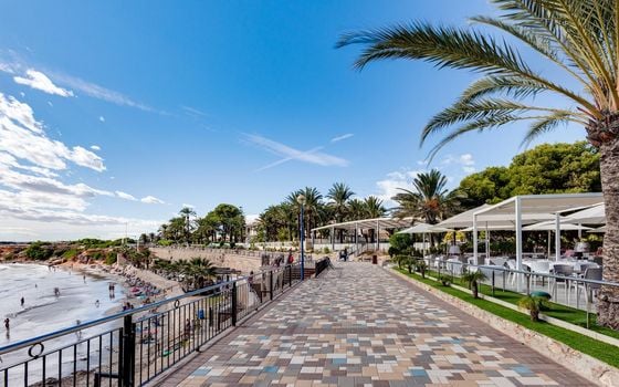 2 bedroom Townhouse in Torrevieja - CYM146980 - Photo - Small - 37