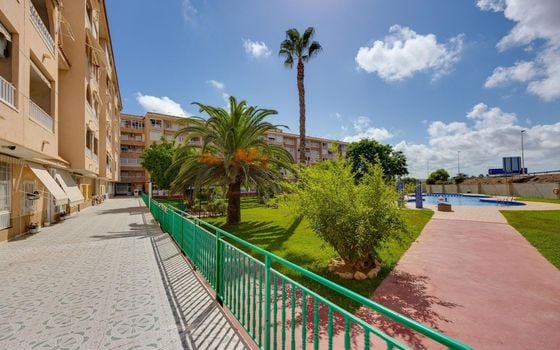 2 bedroom Penthouse in Torrevieja - HRE134636 - Photo - Small - 23