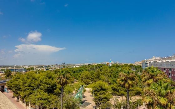 2 bedroom Penthouse in Torrevieja - HRE134636 - Photo - Small - 30