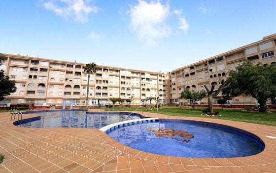 2 bedroom Penthouse in Torrevieja - CSH134724 - Photo - 1