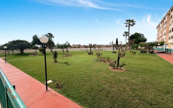 2 bedroom Penthouse in Torrevieja - CSH134724 - Photo - Small - 18