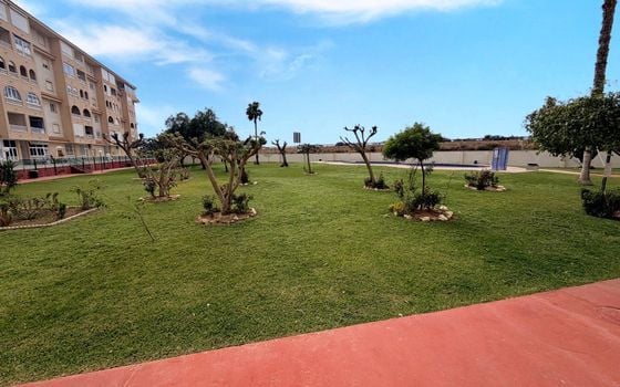 2 bedroom Penthouse in Torrevieja - CSH134724 - Photo - Small - 19