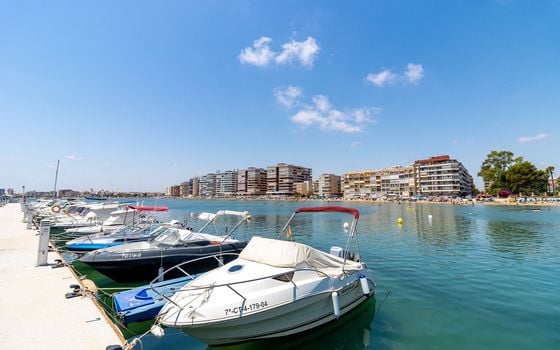 2 bedroom Apartment in Torrevieja - PPS134867 - Photo - Small - 42