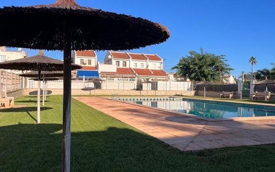 Villa de 3 chambres à Torrevieja - PPS134847 - Photo - Small - 32