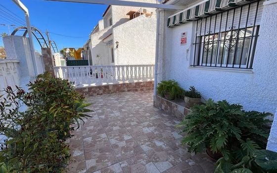 Villa de 3 chambres à Torrevieja - PPS134847 - Photo - Small - 28