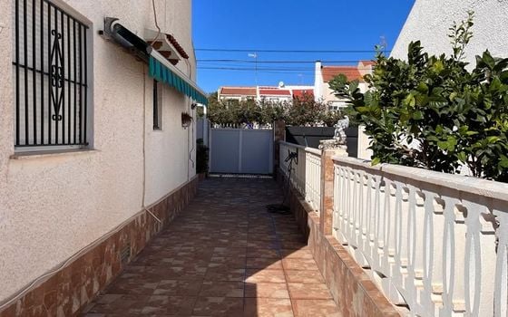 Villa de 3 chambres à Torrevieja - PPS134847 - Photo - Small - 30
