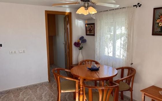 Villa de 3 chambres à Torrevieja - PPS134847 - Photo - Small - 8