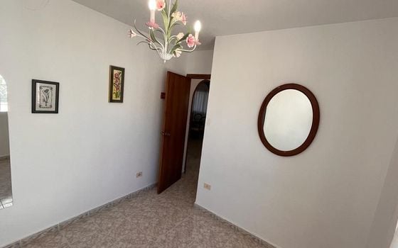 Villa de 3 chambres à Torrevieja - PPS134847 - Photo - Small - 19