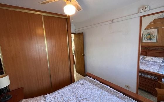 Villa de 3 chambres à Torrevieja - PPS134847 - Photo - Small - 17