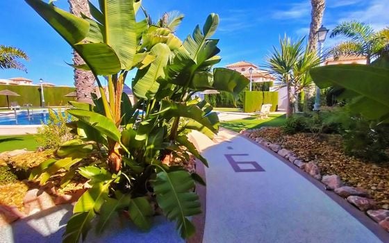 2 bedroom Townhouse in Orihuela Costa - PPS134848 - Photo - Small - 28