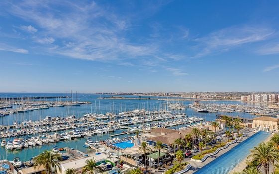 2 bedroom Apartment in Torrevieja - PPS134852 - Photo - Small - 21