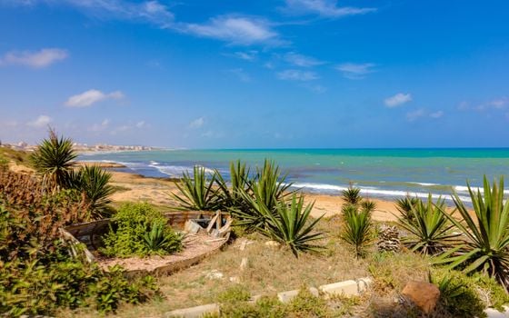 2 bedroom Apartment in Torrevieja - PPS134853 - Photo - Small - 31