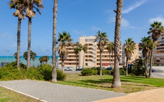 2 bedroom Apartment in Torrevieja - PPS134853 - Photo - Small - 26