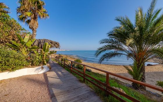 2 bedroom Apartment in Torrevieja - PPS134853 - Photo - Small - 25