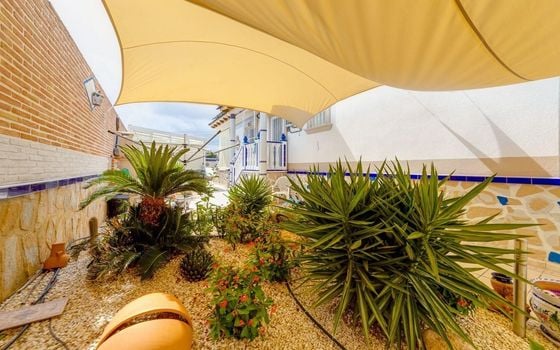 Villa de 5 chambres à Torrevieja - PPS134864 - Photo - Small - 37
