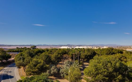 2 bedroom Apartment in Torrevieja - PPS134867 - Photo - Small - 34