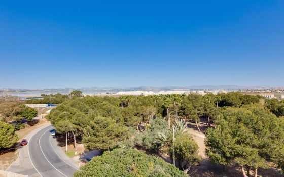 2 bedroom Apartment in Torrevieja - PPS134867 - Photo - Small - 32