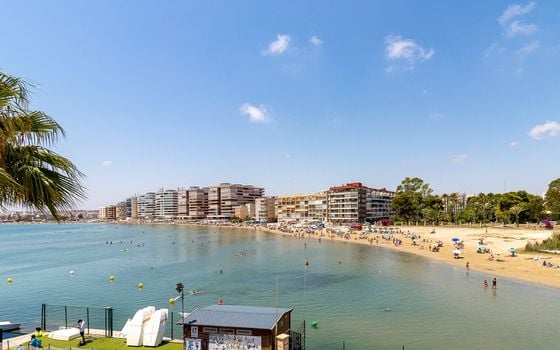 2 bedroom Apartment in Torrevieja - PPS134867 - Photo - Small - 41