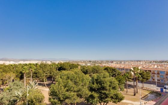 2 bedroom Apartment in Torrevieja - PPS134867 - Photo - Small - 36
