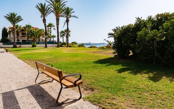 2 Schlafzimmer Appartement in Torrevieja - PPS134874 - Foto - Small - 23