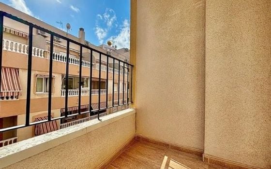Appartement de 2 chambres à Torrevieja - PPS134921 - Photo - Small - 16