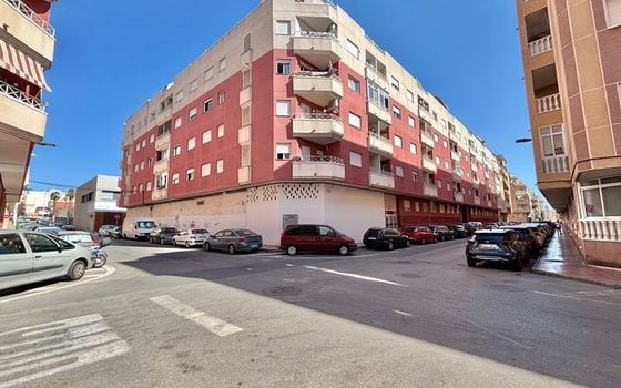 Appartement de 2 chambres à Torrevieja - PPS134923 - Photo - Small - 13