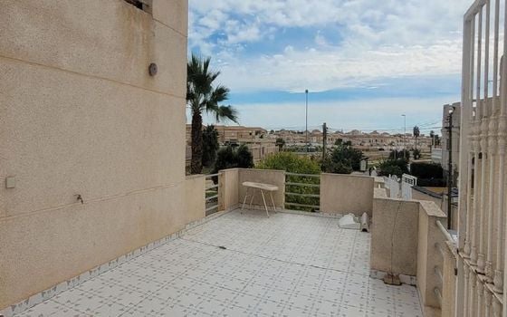 Villa de 4 habitaciones en Torrevieja - PPS134924 - Foto - Small - 16
