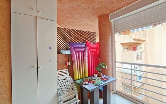 1 bedroom Penthouse in Torrevieja - PPS134927 - Photo - Small - 12