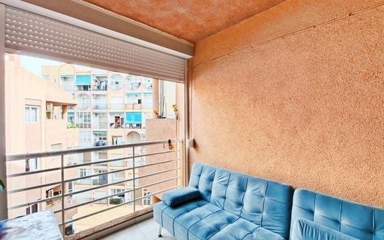 1 bedroom Penthouse in Torrevieja - PPS134927 - Photo - Small - 11