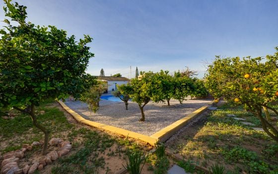 3 bedroom Villa in Los Montesinos - PPS153296 - Photo - Small - 31