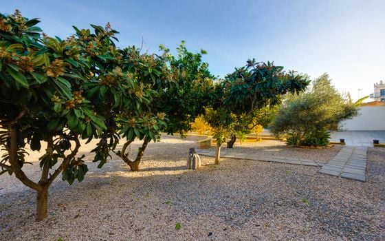3 bedroom Villa in Los Montesinos - PPS153296 - Photo - Small - 36