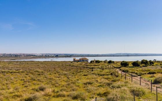 3 bedroom Villa in Los Montesinos - PPS153296 - Photo - Small - 41