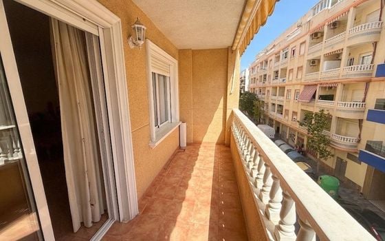 Appartement de 3 chambres à Torrevieja - GVS135097 - Photo - 1