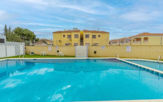 Apartamento de 1 habitación en Torrevieja - JJ135258 - Foto - Small - 18