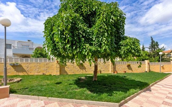 Apartamento de 1 habitación en Torrevieja - JJ135258 - Foto - Small - 16
