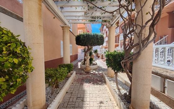 Penthouse de 2 chambres à Torrevieja - HSI135483 - Photo - Small - 38