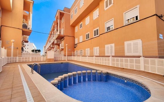 Penthouse de 2 chambres à Torrevieja - HSI135483 - Photo - 2