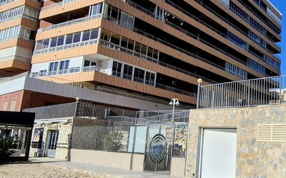 Appartement de 3 chambres à Torrevieja - PPS135578 - Photo - 2