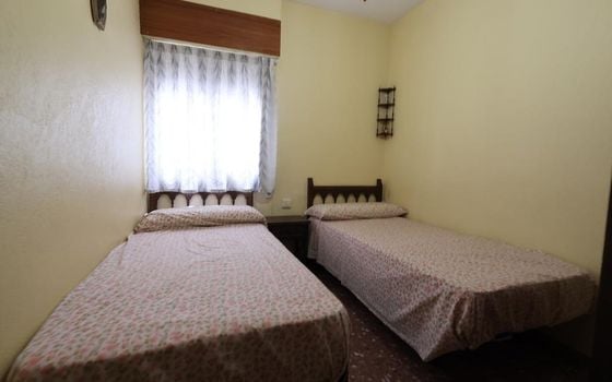 Appartement de 3 chambres à Torrevieja - CRR135609 - Photo - Small - 8