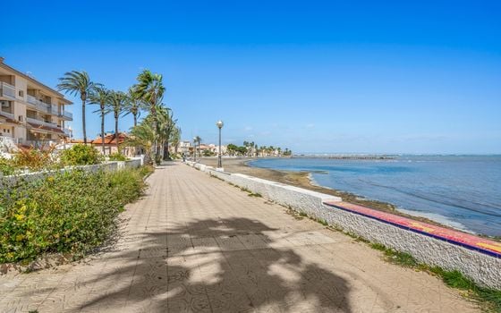 Bungalow cu 3 dormitoare în Los Urrutias - CBB135615 - Imagini - Small - 33