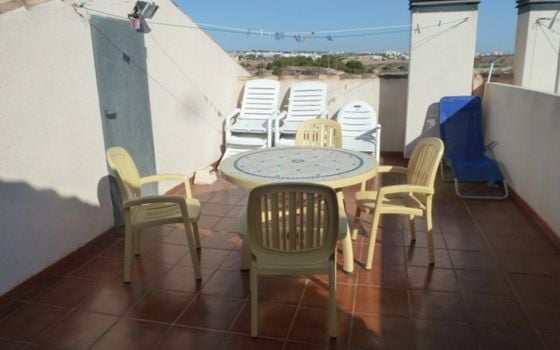 Appartement de 2 chambres à Cabo Roig - SMS135625 - Photo - Small - 23