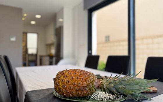 3 bedroom Villa in Rojales - LEA135719 - Photo - Small - 14