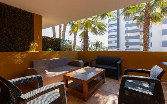 2 bedroom Apartment in Torrevieja - B135926 - Photo - Small - 26