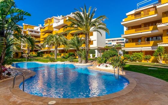 2 bedroom Apartment in Torrevieja - B135926 - Photo - Small - 32