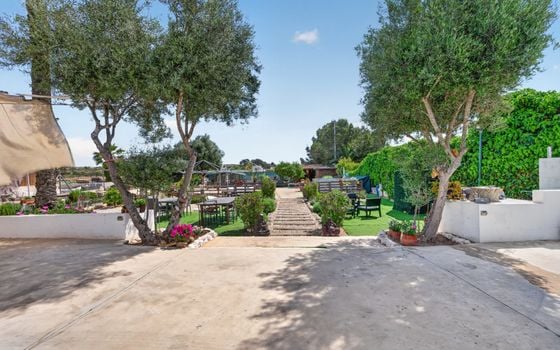 Villa de 3 chambres à Alicante - CBE136175 - Photo - Small - 36