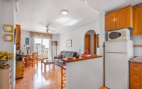 2 bedroom Apartment in Torrevieja - GVS136293 - Photo - Small - 7