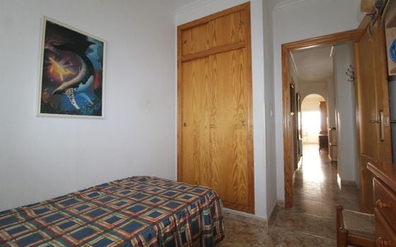 Appartement de 2 chambres à Torrevieja - ALM136294 - Photo - Small - 13